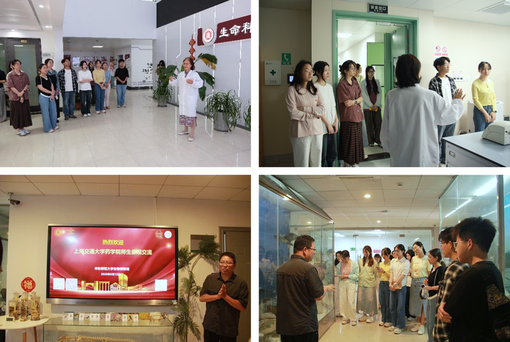 图片222.png