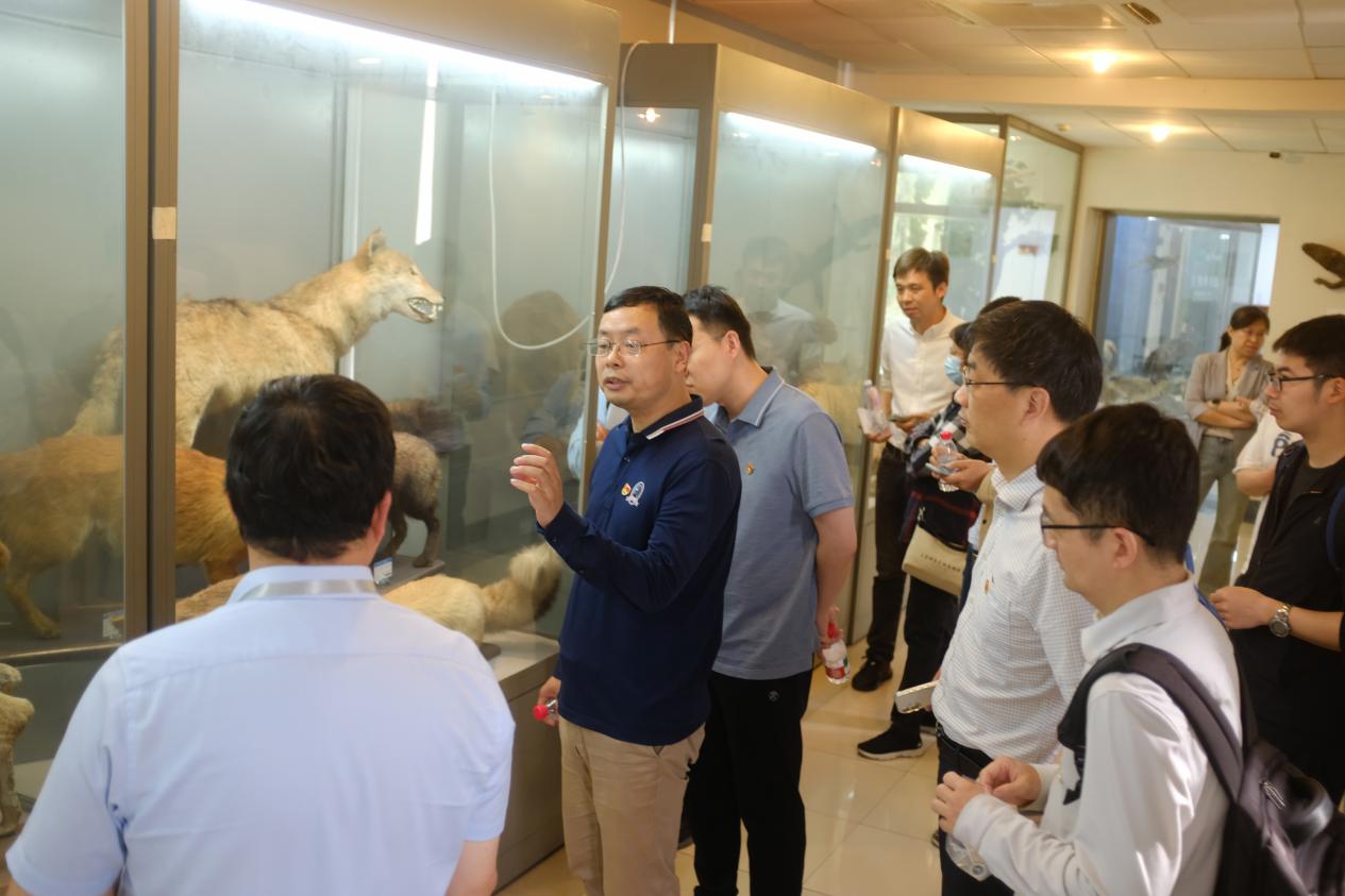 图片9.jpg 图片9.jpg